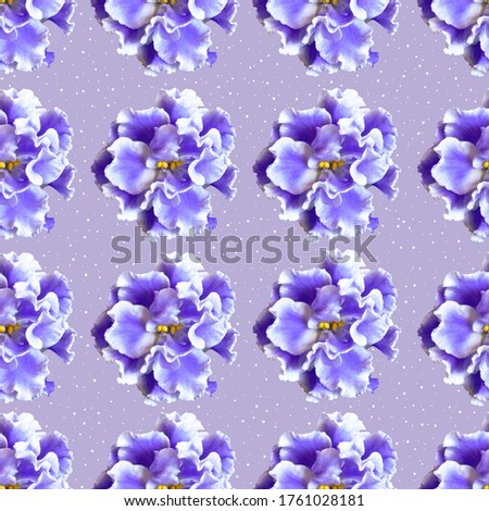 Seamless pattern with violet flowers on a colored background. Design for packaging, fabric, wallpaper, napkins, textiles, backgrounds.
