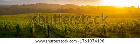 Sunset landscape, Bordeaux wineyard, Langoiran, france Royalty-Free Stock Photo #1761074198