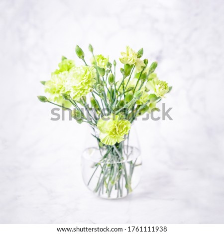 Bouquet of light green carnation flowers on a marble background