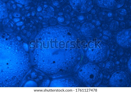 Beautiful abstract blue bubbles in water extreme. Abstract nature pattrn for design. Macro photogrpaphy view.