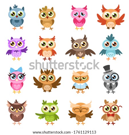 Owls. Color cute wise owl stickers, birthday kids shower funny forest birds with different gestures vector flat cartoon characters isolated set