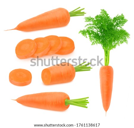 Set of fresh whole and cutted carrots isolated on a white background. Clip art image for package design.