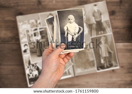 old man holds his old photos taken in 1960-1961, album with vintage monochrome photographs in sepia color, the concept of genealogy, memory of ancestors, family ties Royalty-Free Stock Photo #1761159800