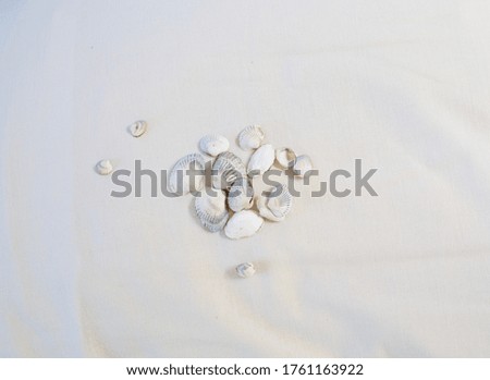 Flat lay photo of small nordic sea shells on white pillow. Hotel or holiday by the sea concept idea image.