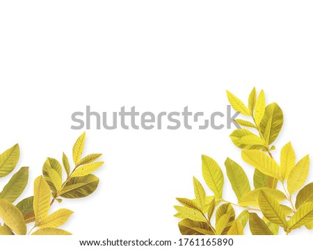 white business card with leaves mockup for presentation