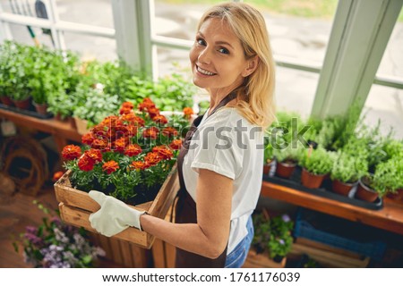Top view of a cheerful lovely female floriculturist with ornamental plants smiling at the camera Royalty-Free Stock Photo #1761176039