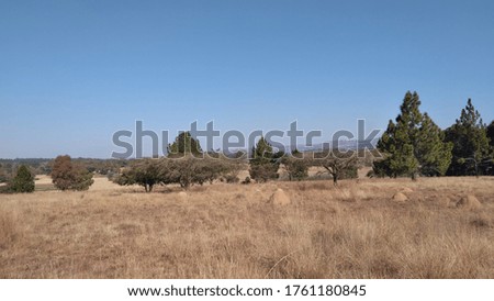 Scenic background photo of a dull brown grass field farm landscape and a blue sky on a cold winter's day