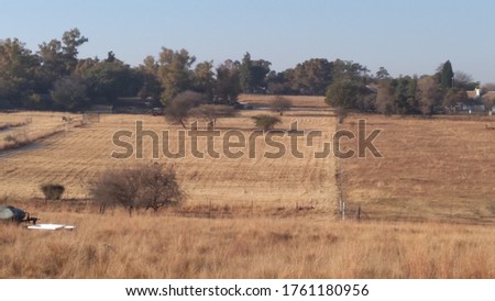 Scenic background photo of a dull brown grass field farm landscape and a blue sky on a cold winter's day