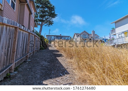 fire break required because of overgrown vegetation on vacant lot Royalty-Free Stock Photo #1761276680