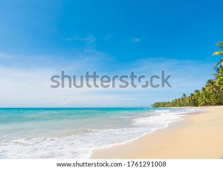 Brazil beach travel. A large white wave spread over the beach of Brazil. White sand and blue sea landscape. Beach and sea on a sunny day on a paradise island.