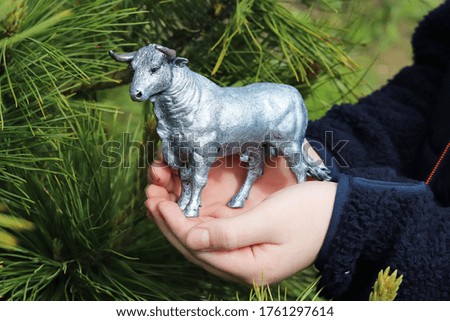 child holds in his hands a white metal bull - symbol 2021