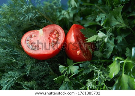 Tomatoes lie on green parsley. Close-up. Light effects