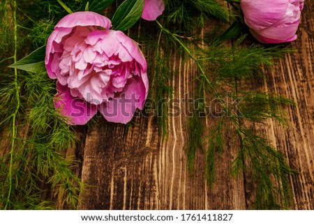 Fragrant pink peonies. Beautiful bouquet on vintage wooden background. Romantic mood concept, copy space