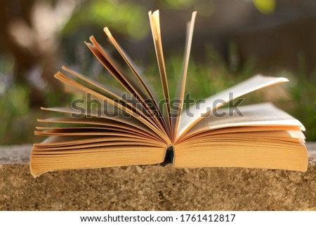 Open book in a garden. Selective focus.