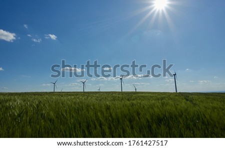 Many wind turbines against a blue cloudy sky, sun shines in the picture, green wheat field in the foreground.
