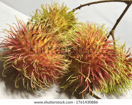 Hairy fruit. the name of this fruit is derived from the Malay word meaning "hairy," and you can see why.