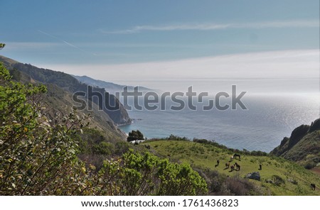 A Beautiful Coastal Shot in Big Sur with a herd of horses on an overlooking Plateau  Eating Grass