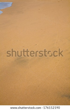 Beautiful surfing tropical sand beach detail on sunny summer day