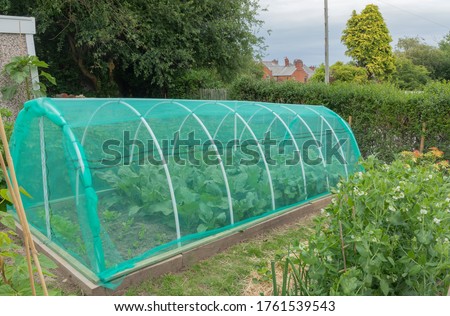 Green net tunnel in an allotment