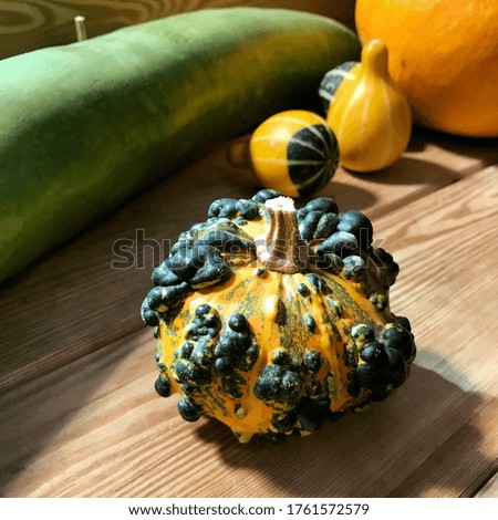 Halloween yellow, orange, white, green striped pumpkins decoration background among flowers and other vegetables on wooden table. Autumn harvest at the farm fair. Selective focus
