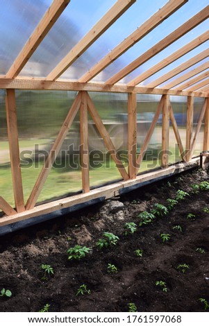 Polycarbonate greenhouse for vegetables. Stock Photo