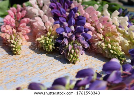 Bouquet of colorful lupins on a sunny summer day. Picture with selective focus.