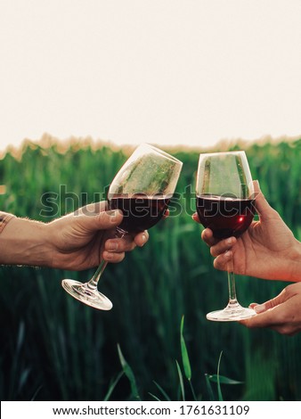 Two people toasting with wine glasses filled with red wine

