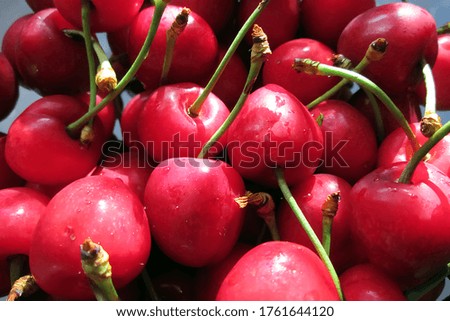 Large red homemade cherries. Stock photo for articles and supermarkets.