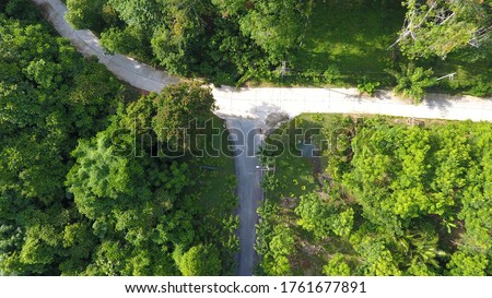 Aerial view of road in the jungle .