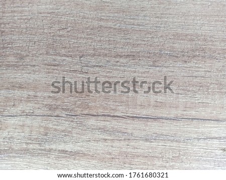 Natural smooth wood texture background material for design. Old wood tree trunk background pattern. Dry tree trunk close up.