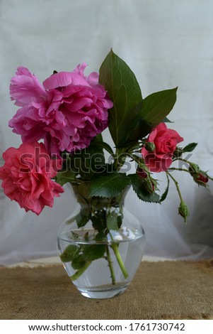 Bouquet of roses and peonies in a vase on a gray background