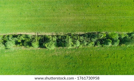 aerial view green agriculture field summer time