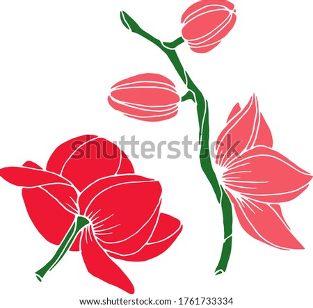 Vector sketch of orchid flowers. Nature. Sketch, illustration. decorative