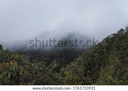 foggy mountain in natural park