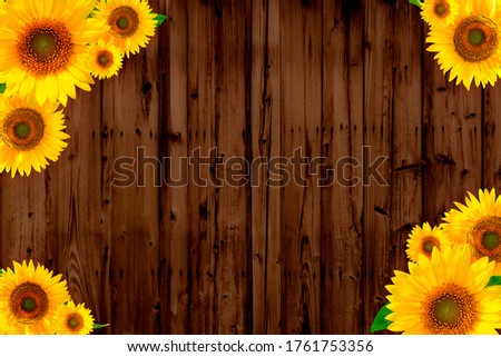 Frame of brown wood and sunflower 