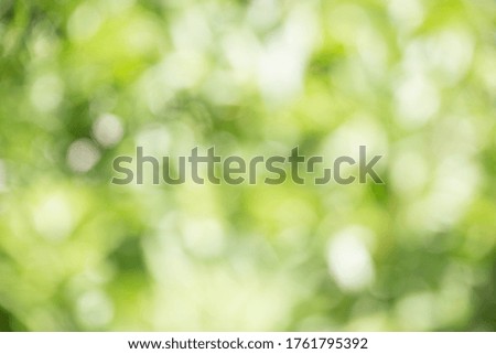 Green blurred background of garden and solar lights. Spring-summer season or green concept ideas.