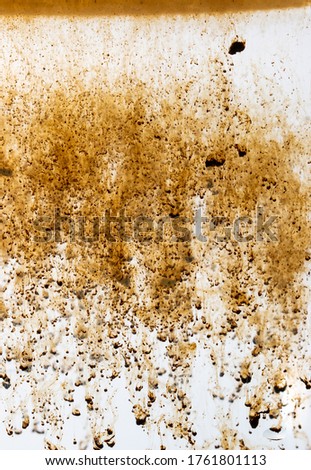 coffee granules when dissolved in water