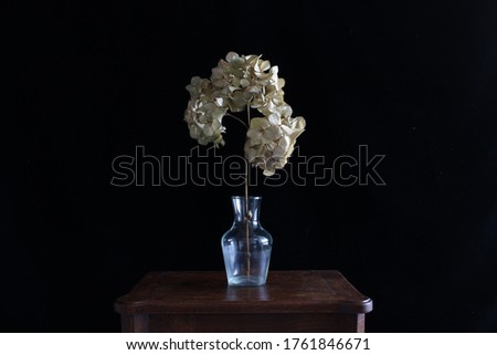 A closeup picture of a isolated dried hydrangea in a glass vase in front of a black background. True beauty still exist after death.