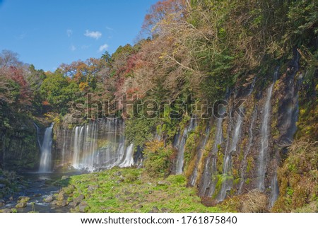 Shiraito falls at Fujinomiya area during autumn season with brightly colorful leaves