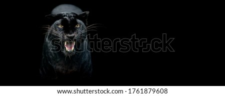 Template of a Black panther with a black background