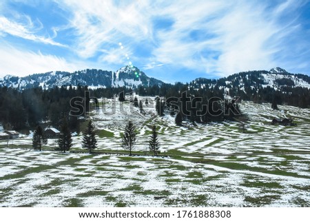 Colorful picture of green grass area covered with snow, Alps moutain under blue sky scenery, from Golden pass line,  Zweisimmen to Montreux, Switzerland: 7/5/2562