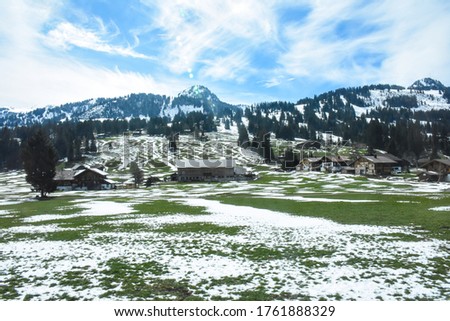 Colorful picture of green grass area covered with snow, Alps moutain under blue sky scenery, from Golden pass line,  Zweisimmen to Montreux, Switzerland: 7/5/2562