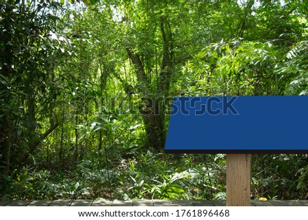 Layout billboard banner blue for any information on the background forest.With natural warm light 