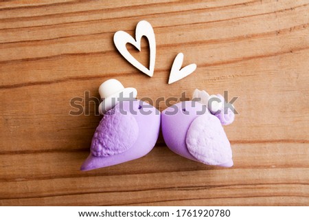 Decorative birds in a wedding look on a wooden background with hearts. Wedding concept