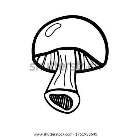 Vector illustration element  with mushroom in doodle style. Hand drawn food. Icon, symbol, logo. ingredient t for cook.