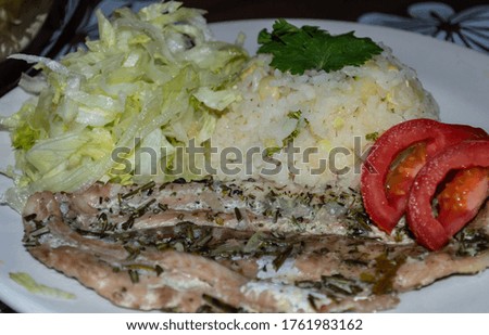 A closeup horizontal shot of a dish with fish, rice, cabbage, and tomatoes on a white round plate