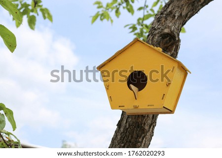 small yellow birdhouse with a round entrance hangs on the trunk of a young tree in the garden against a blue sky with white clouds.