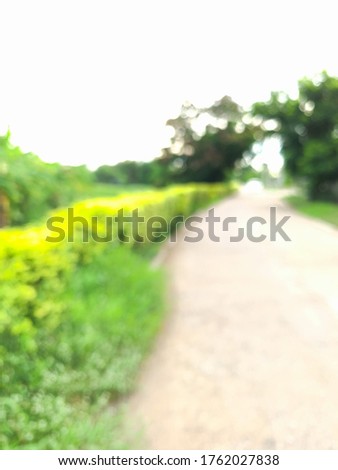 Blurry picture of a garden beside a car running alongside the Canal water supply