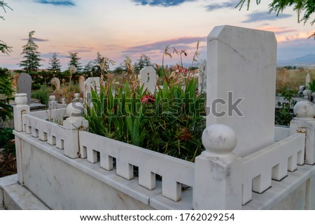 Some plants and flowers on a tomb in cemetery in Turkey