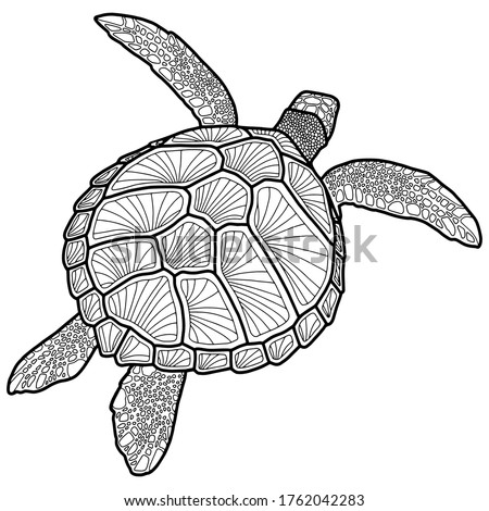 Vector illustration for coloring book. Realistic design pond slider or turtle. Marine inhabitants. Children's illustration. Pet turtle red-eared slider